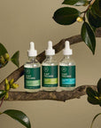 Tea Tree Scalp Wellness Scalp Defense Serum
