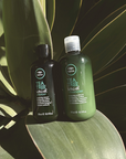 TEA TREE SPECIAL Balsam