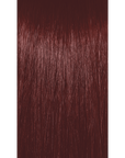 COLOR XG COVERSMART 44R - 44/4