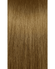 COLOR XG COVERSMART 55NG - 55/03