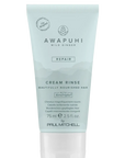 AWAPUHI WILD GINGER CREAM RINSE - Zbutes Per Floke Te Demtuar